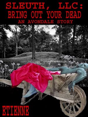 cover image of Sleuth, LLC